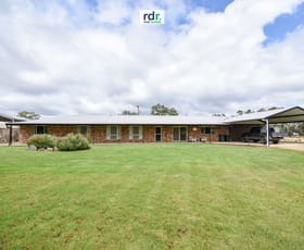 Rural / Farming commercial property for sale at 14381 Guyra Rd Inverell NSW 2360