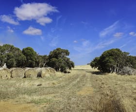 Rural / Farming commercial property sold at Lot 2201 & 5281 Meanwood Road Torbay WA 6330