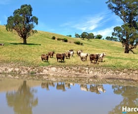 Rural / Farming commercial property for sale at 87 Hughes Road Nerrena VIC 3953