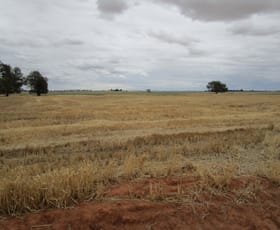 Rural / Farming commercial property sold at 0 Anderson Road Sutherland VIC 3477
