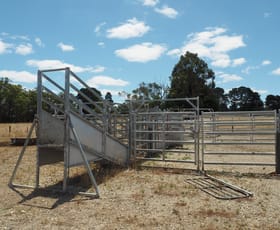 Rural / Farming commercial property for sale at 3306 Princes Highway Drumborg VIC 3304