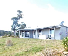 Rural / Farming commercial property sold at 117 Greens Road Kybeyan NSW 2631