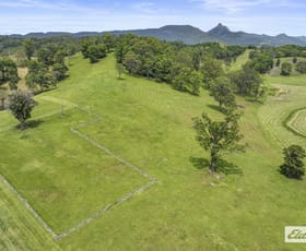 Rural / Farming commercial property for sale at 300 Lundberg Drive South Murwillumbah NSW 2484