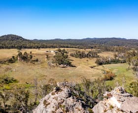 Rural / Farming commercial property sold at 1301 Coxs Creek Rd Coxs Creek NSW 2849