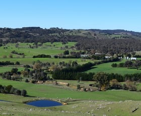 Rural / Farming commercial property sold at 4729 Dalton Road Rye Park NSW 2586