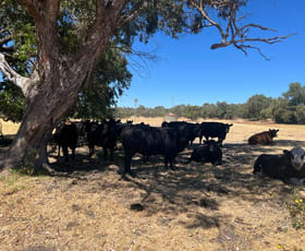 Rural / Farming commercial property sold at 10/ Wellesley Road Binningup WA 6233