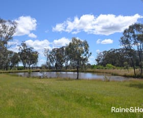 Rural / Farming commercial property sold at 114 Haywood Road Delungra NSW 2403