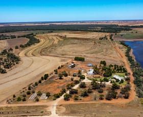 Rural / Farming commercial property sold at 1948 Swan Hill/Moulamein Road Murray Downs NSW 2734