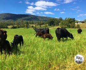 Rural / Farming commercial property for sale at 290 Back Creek Road Bentley NSW 2480