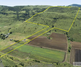 Rural / Farming commercial property sold at Lot 11 Lefthand Branch Road Lefthand Branch QLD 4343