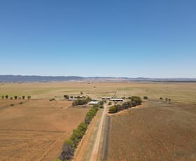 Rural / Farming commercial property sold at 2167 Collins Rd Melrose SA 5483