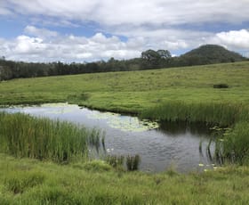 Rural / Farming commercial property sold at 0 Kooralbyn Road Laravale QLD 4285