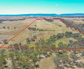 Rural / Farming commercial property sold at 61 Sads Lane Young NSW 2594