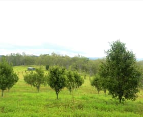 Rural / Farming commercial property sold at 160 Moras Road Lismore NSW 2480