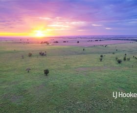 Rural / Farming commercial property sold at 1408 "Bindango" - Bindango Road Roma QLD 4455