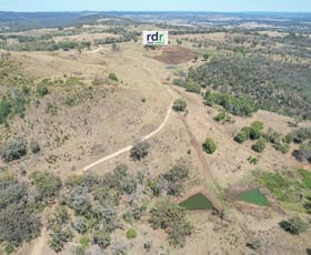 Rural / Farming commercial property sold at Lot 1 Elsmore Road Inverell NSW 2360