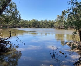 Rural / Farming commercial property for sale at Sheepwash Lagoon - Echuca Moama on the Murray Road Moama NSW 2731