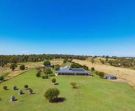 Rural / Farming commercial property sold at 681 Burgoon Lane Molong NSW 2866