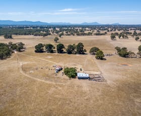 Rural / Farming commercial property sold at 479 Old Tannery Road Cavendish VIC 3314