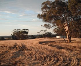 Rural / Farming commercial property sold at 1213B Dobaderry Road Beverley WA 6304