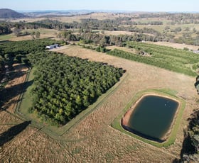 Rural / Farming commercial property for sale at Mortat Willigobung Road Tumbarumba NSW 2653