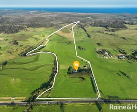 Rural / Farming commercial property for sale at E444 Princes Highway Yatte Yattah NSW 2539