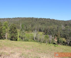 Rural / Farming commercial property sold at 1184 Caparra Road Caparra NSW 2429