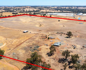 Rural / Farming commercial property sold at Lot 1443 Playle Road Williams WA 6391