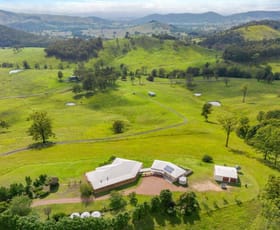 Rural / Farming commercial property sold at 185 Moores Road Monkerai NSW 2415