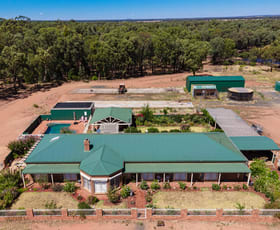 Rural / Farming commercial property sold at 915 Thanowring Road Temora NSW 2666