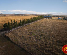 Rural / Farming commercial property for sale at 161 Paces Lane Rowsley VIC 3340