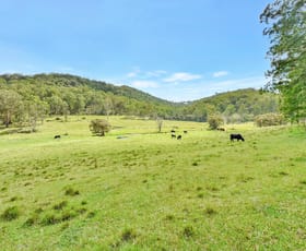 Rural / Farming commercial property for sale at 93 Stapleton Road Laguna NSW 2325