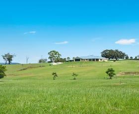 Rural / Farming commercial property for sale at 355 Cross Keys Road Gresford NSW 2311