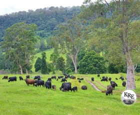 Rural / Farming commercial property sold at 807 Tunglebung Road - Tunglebung Casino NSW 2470