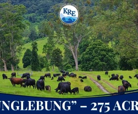 Rural / Farming commercial property for sale at 807 Tunglebung Road - Tunglebung Casino NSW 2470