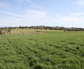Rural / Farming commercial property for sale at 3/83 Yass Valley Way Manton NSW 2582