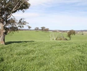 Rural / Farming commercial property for sale at 3/83 Yass Valley Way Manton NSW 2582