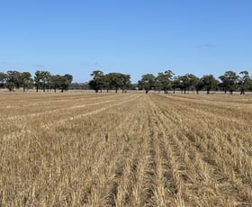 Rural / Farming commercial property for sale at Lot 28 Wheatons Road Henty NSW 2658