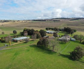 Rural / Farming commercial property for sale at 1047 Cuddyong Road Limerick NSW 2583