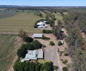 Rural / Farming commercial property for sale at 2627 Bedgerabong Road Forbes NSW 2871