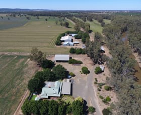 Rural / Farming commercial property for sale at 2627 Bedgerabong Road Forbes NSW 2871