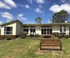 Rural / Farming commercial property for sale at 72 Guyra Road Ebor NSW 2453