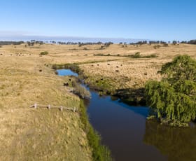 Rural / Farming commercial property sold at 1253 Enmore Road Mihi NSW 2358