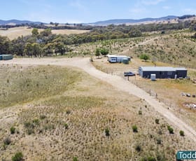 Rural / Farming commercial property for sale at 210 Hayes Gully Road Tooborac VIC 3522