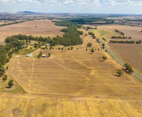 Rural / Farming commercial property for sale at 2811 Walbundrie Road Walbundrie NSW 2642