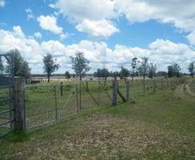 Rural / Farming commercial property sold at 198 Cameby Road Chinchilla QLD 4413