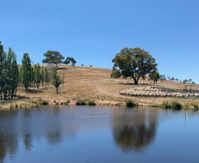 Rural / Farming commercial property sold at 739 Berribanglo Creek Road Yass River NSW 2582