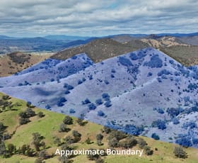 Rural / Farming commercial property sold at 469 Bald Hills Creek Road Swifts Creek VIC 3896