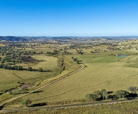 Rural / Farming commercial property sold at 214 Brookfield Road Wellington NSW 2820