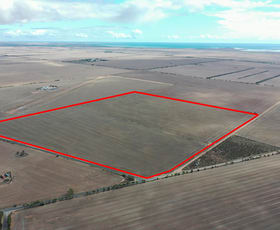 Rural / Farming commercial property sold at Sec 359 & 360 Sandercock Rd Kadina SA 5554